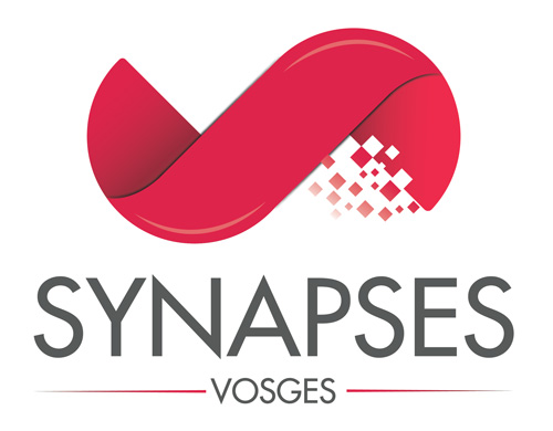 création du logo pour synapses vosges